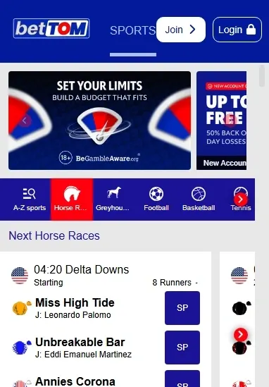 BetTOM Casino
